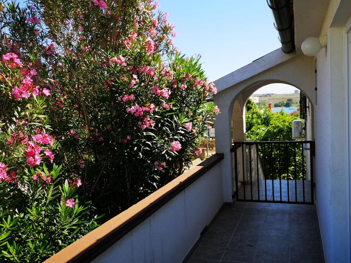 Apartments Mint Povljana - 50M From Sandy Beach Ngoại thất bức ảnh